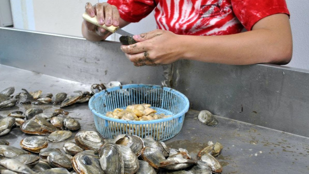 a person shucking clams in a large metal trough