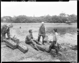 A man and a boy, each holding a basket full of shellfish, talk to a man sitting on the bank of New Harbor. Another man stands to the left and is looking down at multiple baskets of shellfish. Photo credit Maine State Archives.