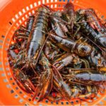 a half dozen lobsters in an orange bucket