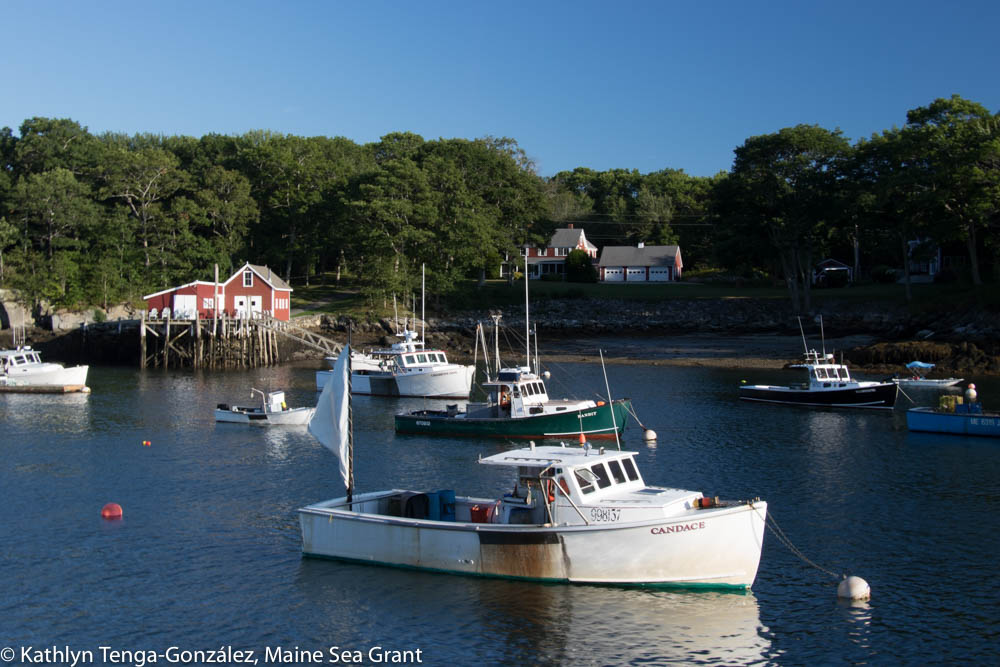Fishing and lobster boats anchored near Bristol, Maine.