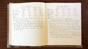 handwritten pages in a ledger book