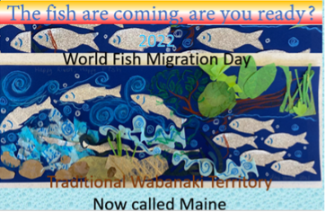a graphic with the heading “The fish are coming are you ready? With artistic renderings of fish swimming in a stream. A text banner reads “World Fish Migration Day” and a footer reading Traditional Wabanaki Territory, Now called Maine.