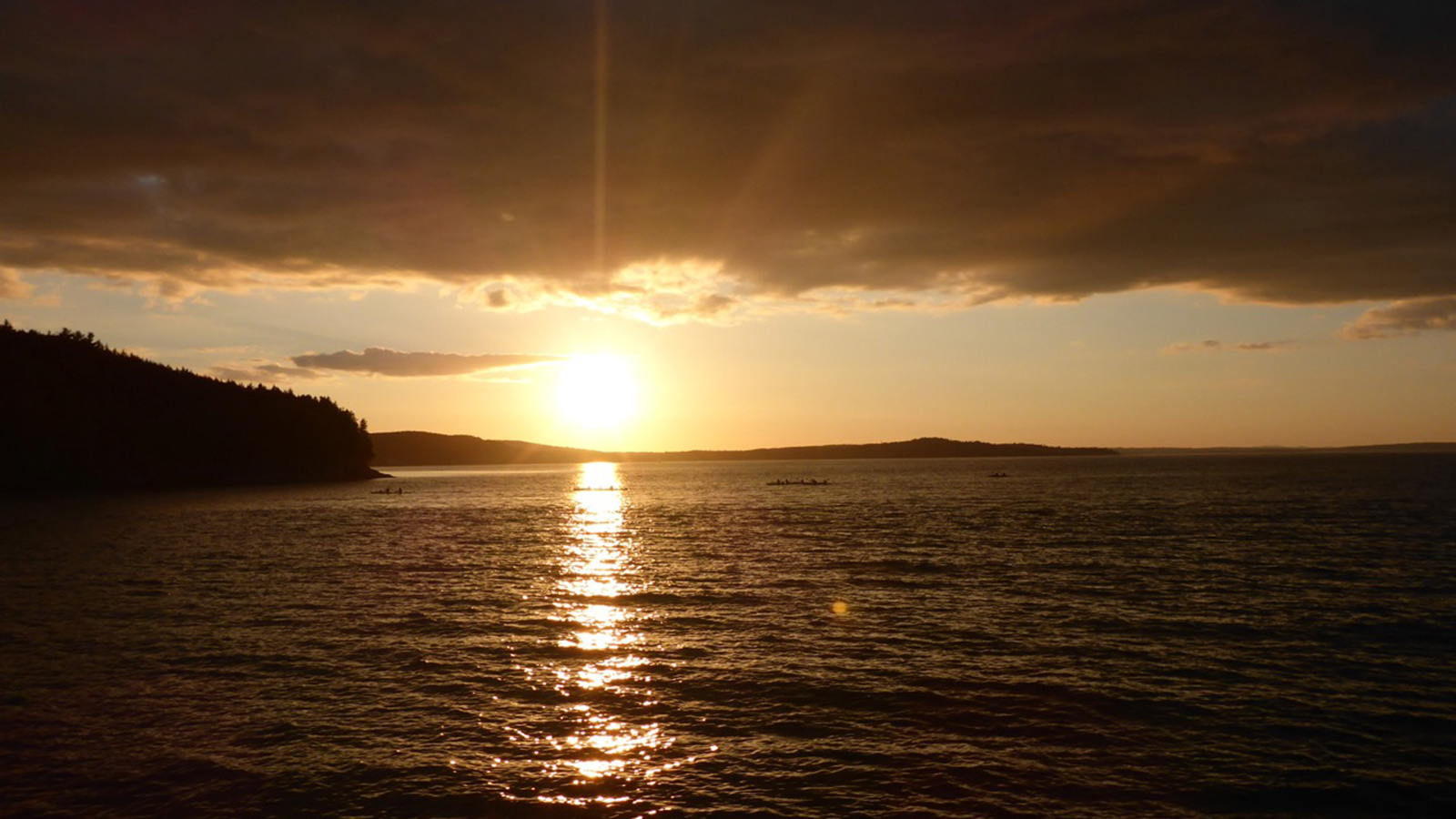 Coastal Conversations Radio Program: Marine Worms - Maine Sea Grant -  University of Maine