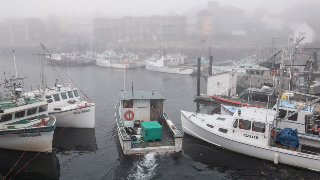 Coastal Conversations Radio Program: Marine Worms - Maine Sea Grant -  University of Maine