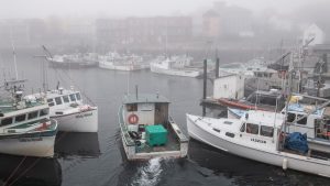 Boats in a foggy harbor