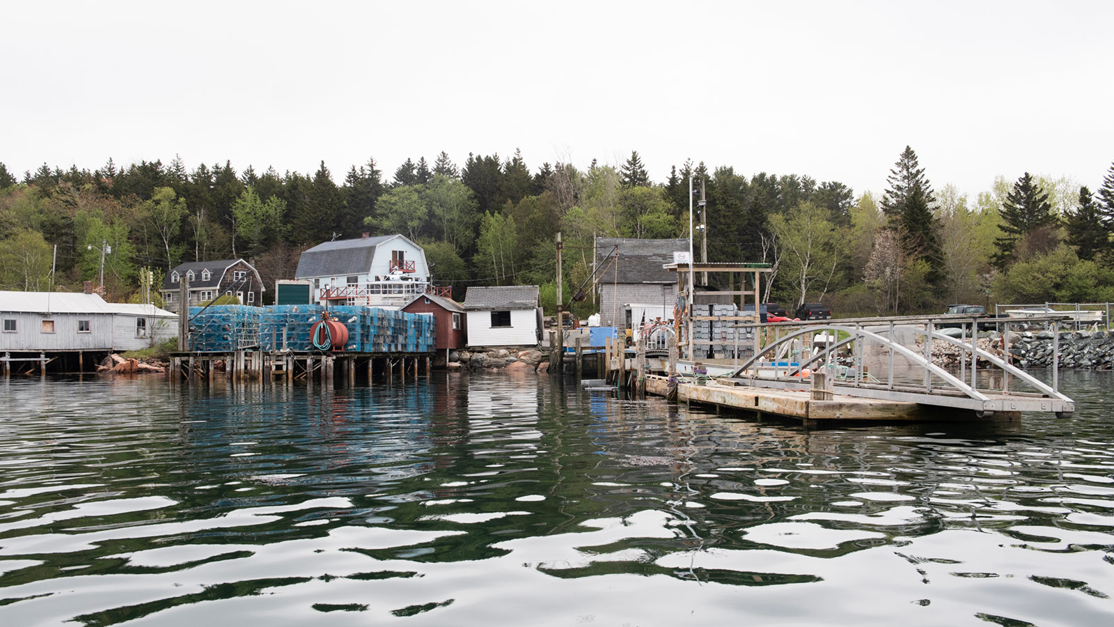 Boats and buildings from the water on an overcast day