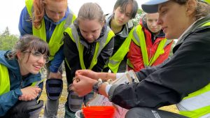 students in high visibility vests gather round a person showing a crab they produced from a pail