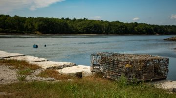 Photo of Taunton Bay from the shore, with lobster cages on some rocks.