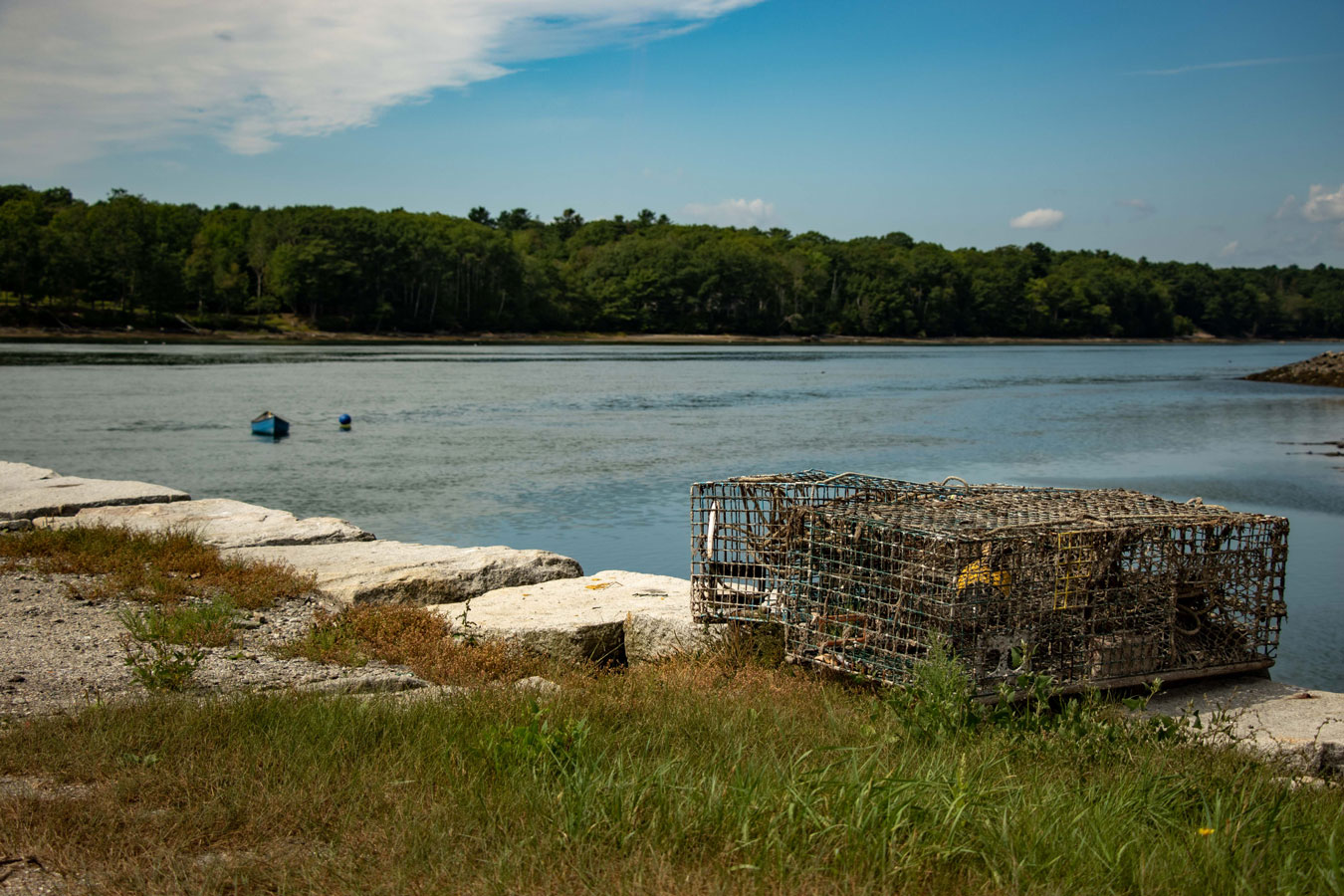 Photo of Taunton Bay from the shore, with lobster cages on some rocks.