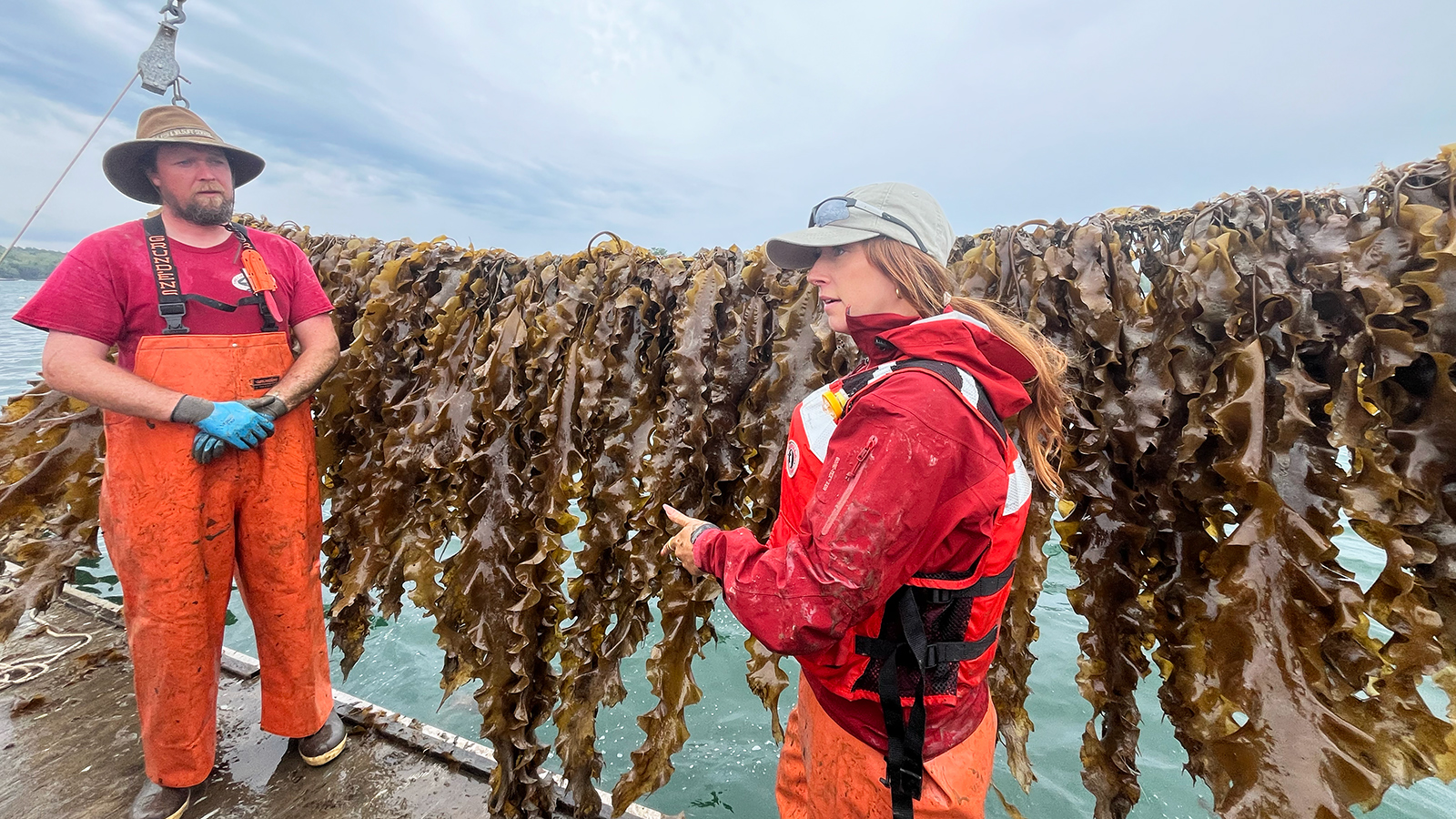 two people stand in front of a hanging line of seaweed on a floating platform