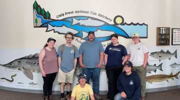 seven people stand in front of a wall with various sea run fish paintings on it