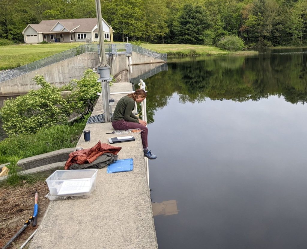 A woman sits on a large concrete dam wall over a small, white opening. She is surrounded by clipboards and data sheets, and holding a clicker to count fish.