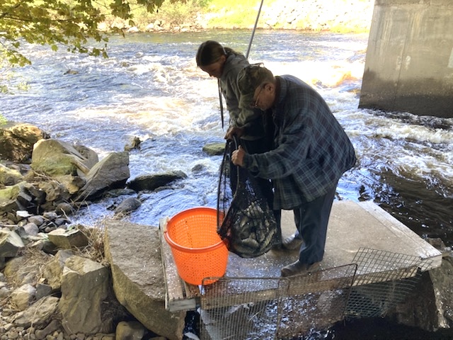 A young student is in the background handling the net’s handle and a man (Bucket) stands in the front tipping the net into an orange tub. Both stand on a concrete slab over a rushing river.