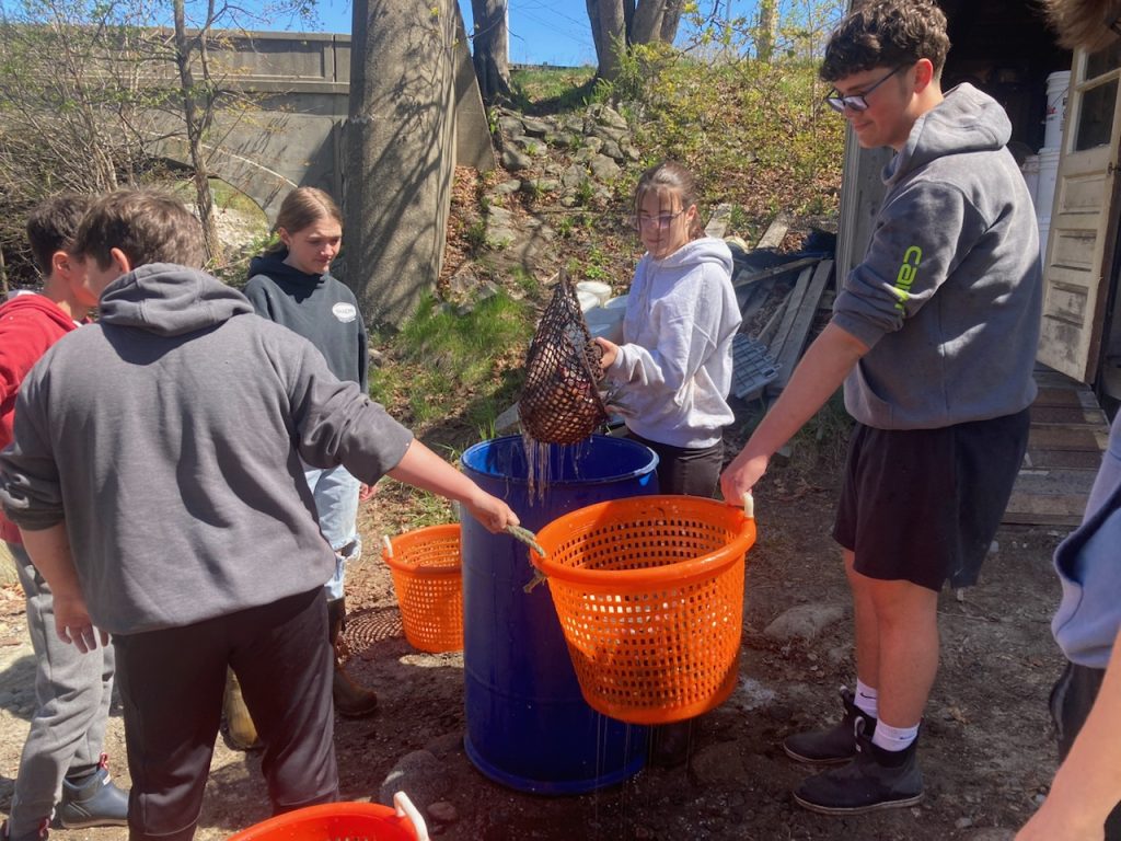 Five students stand around a large, blue barrel. Two are holding an orange tub and another is pouring fish into the barrel from a small dip net.