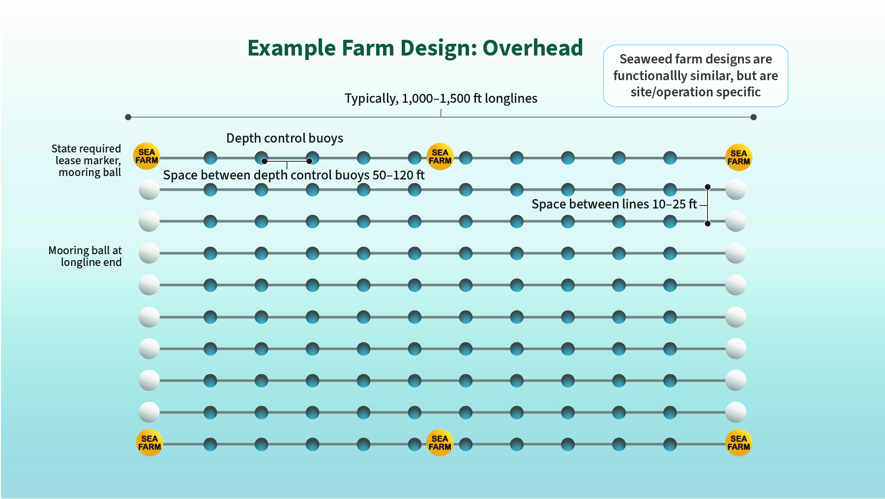 An overhead view of an example kelp farm on a blue background. The farm is made up of ten horizontal parallel long lines, each with 12-13 dots along the line representing buoys and end markers. These lines are between 1,000-1,500 ft long and are spaced 10-25 feet apart. At the end of each line are gray boxes, representing the moorings that hold the farm in place.