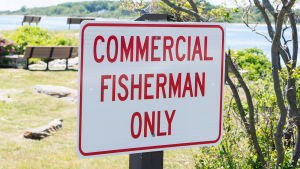 A white sign with red lettering in the foreground reads "Commercial Fishermen Only." The background is green grass and benchs by the water.