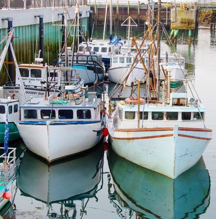 A busy working waterfront scene with professional fishing boats lined up along a pier