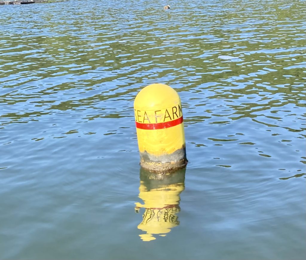 Yellow 'SEA FARM' buoy floating.