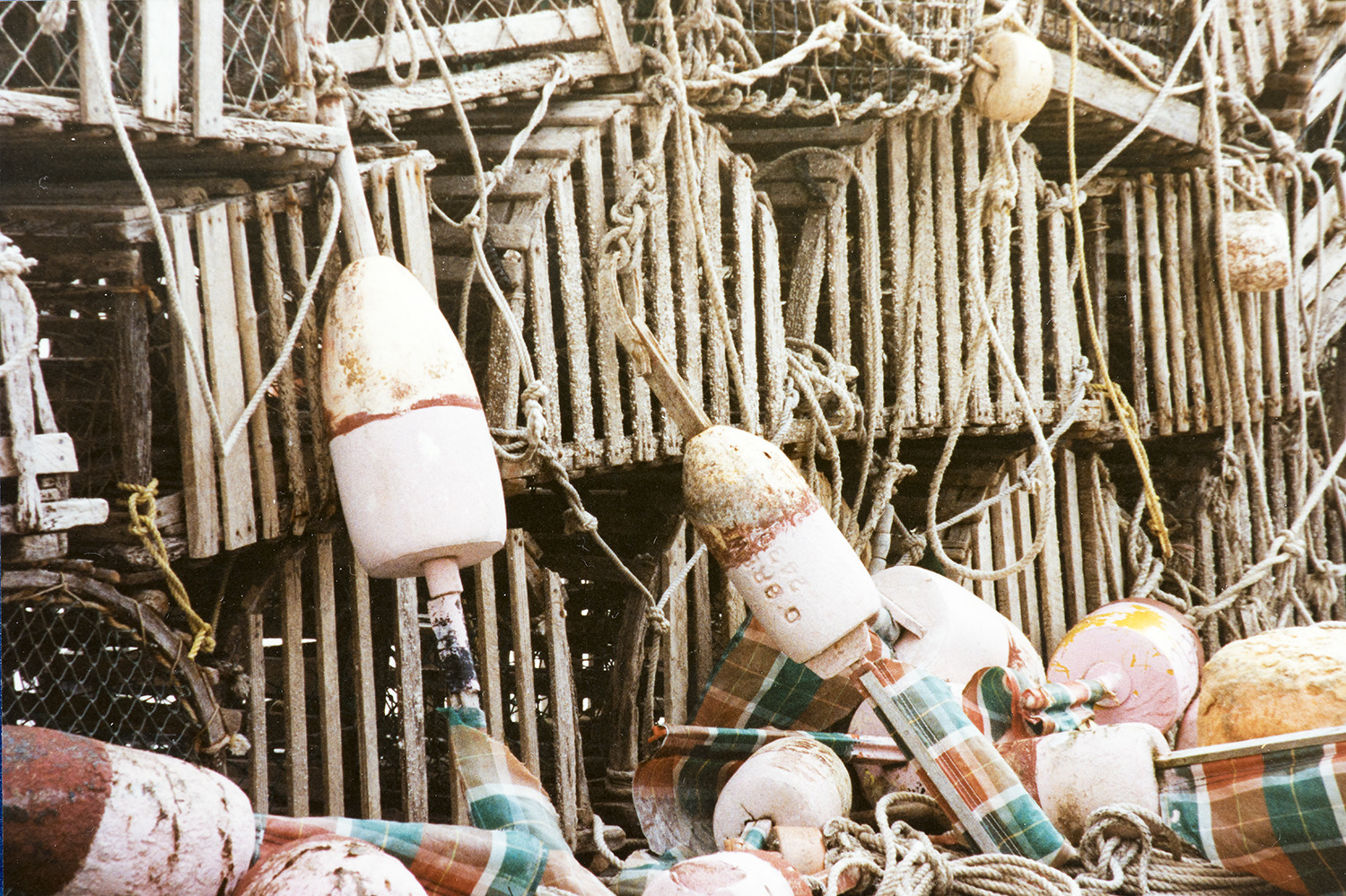 featured image for Coastal Conversations Radio Program: Trap limits in a changing fishery