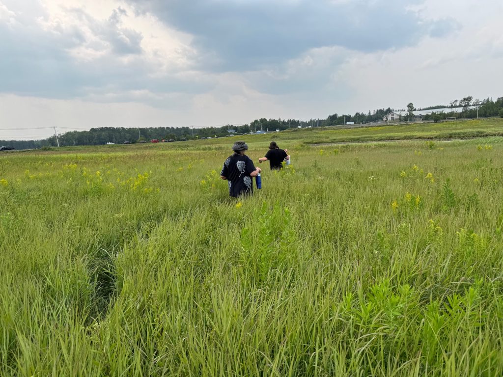 Two people walk through a tidal marsh.