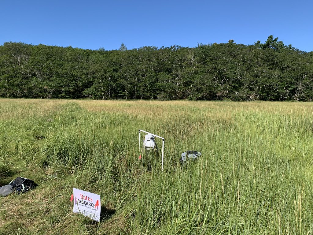 Research gear sits in the tall grass of a marsh.