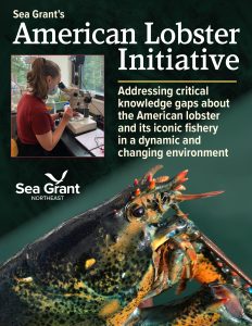 Cover page of Maine Sea Grant's American Lobster Initiative publication