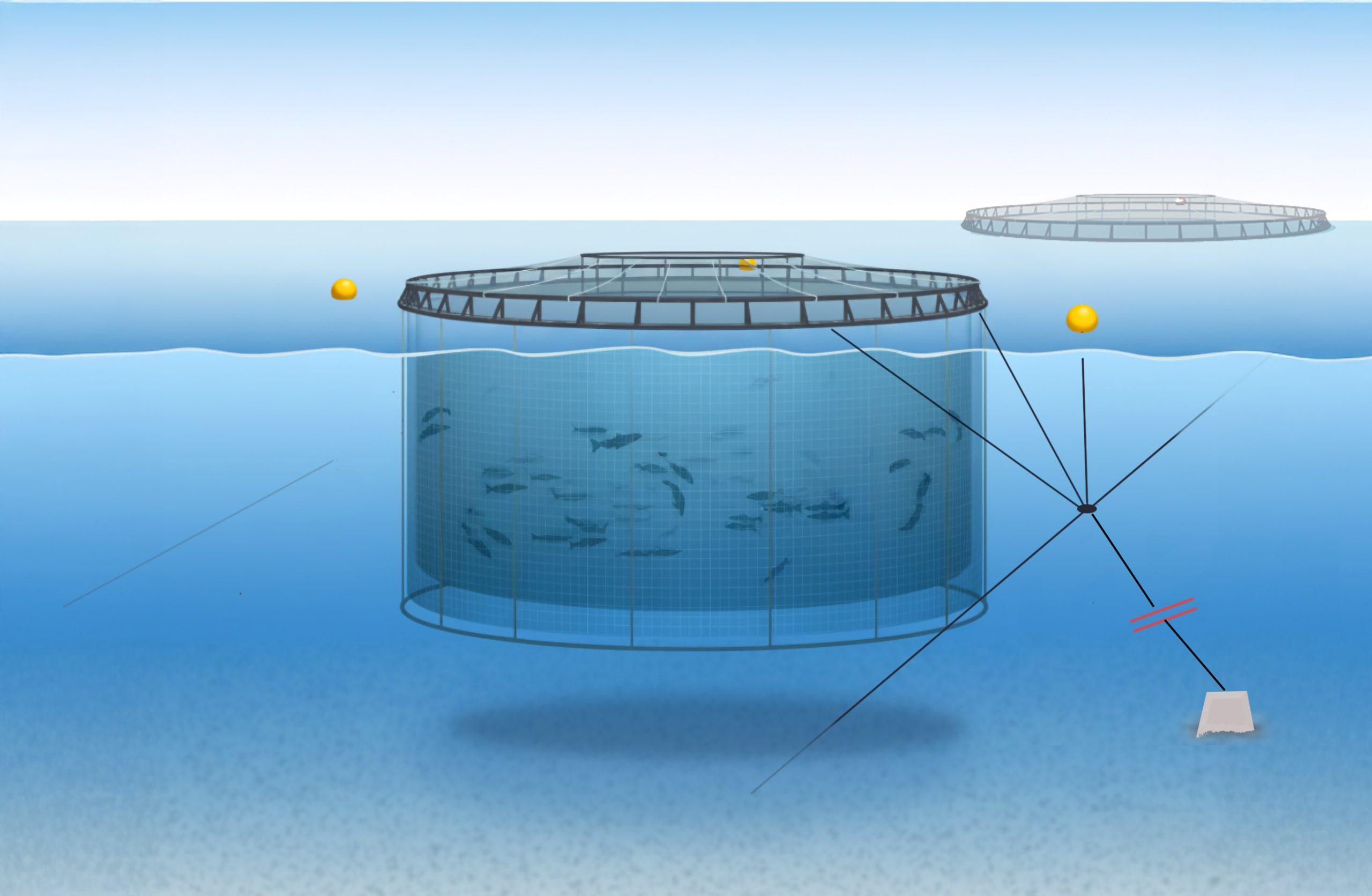Underwater view of a salmon pen net showing how it's anchored at the bottom of the ocean.