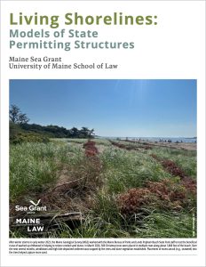 Cover image of Living Shorelines publication