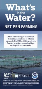 Image of Maine Sea Grant's What's in the Net=Pen Salmon brochure