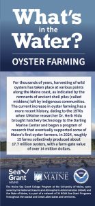 Image of Maine Sea Grant's What's in the Water Oyster brochure
