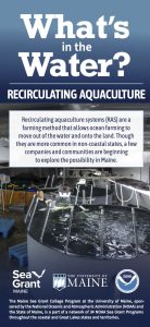 Image of Maine Sea Grant's What's in the Water RAS Salmon brochure