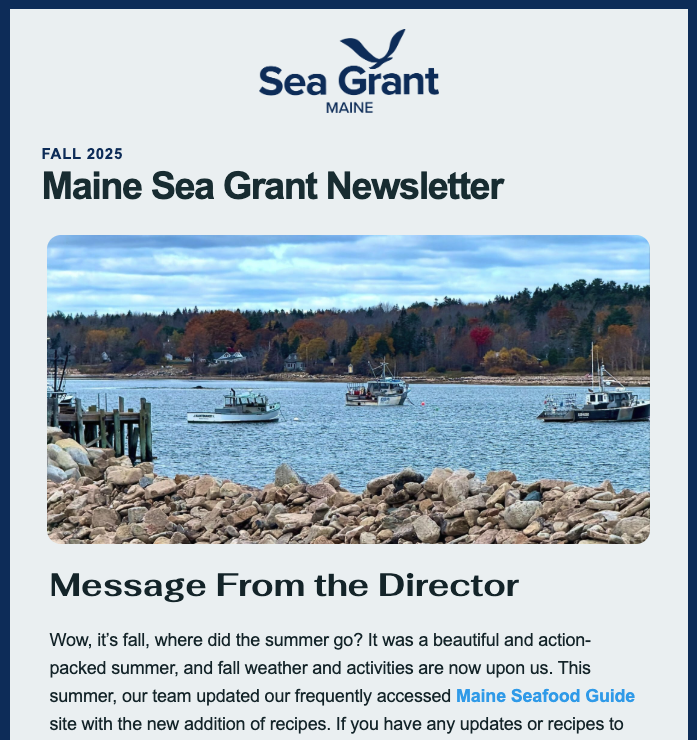 a screencap of our newsletter for illustrative purposes only