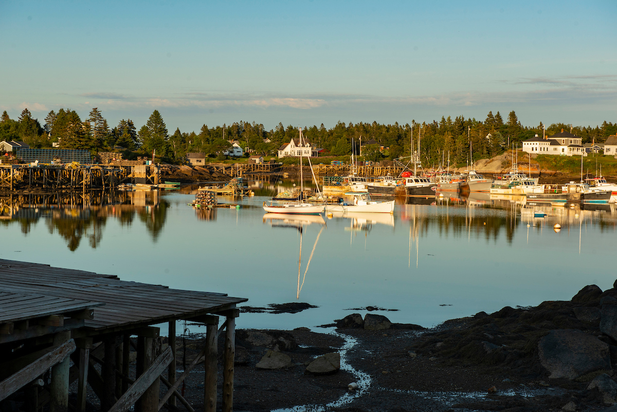 boats in the water, taken from shore, on a sunny day with trees behind