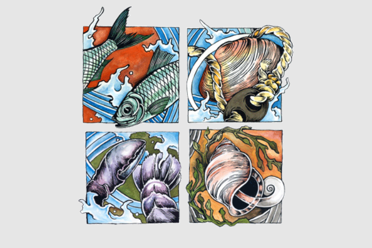 stylized drawings of fish and shellfish